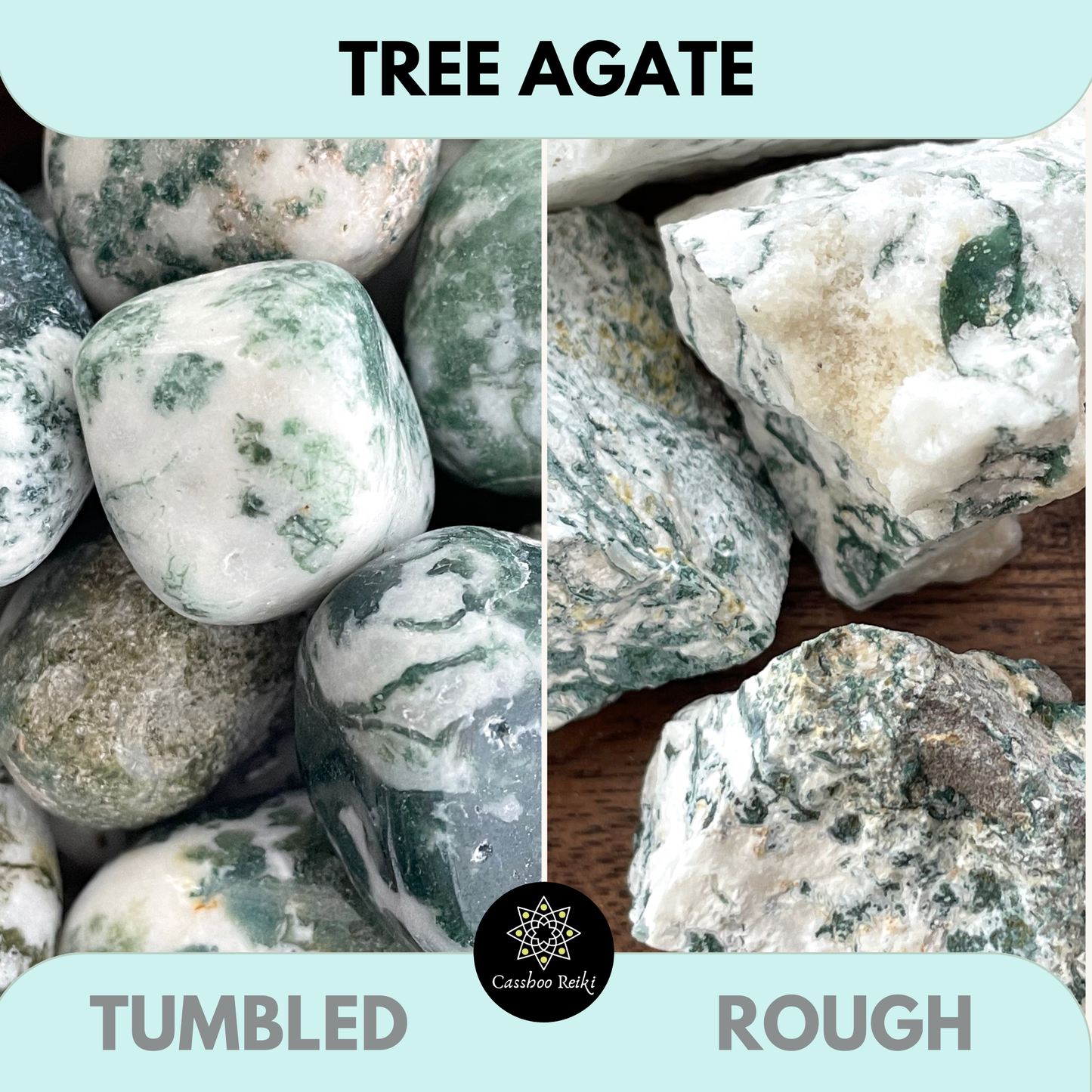 Rough and rounded crystals of Tree agate