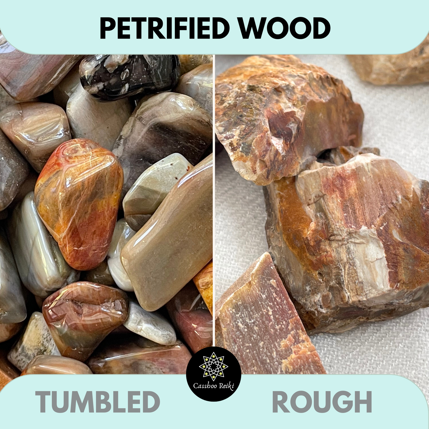 Natural Petrified Wood | Fossilized Wood | Root and Sacral Chakra Stone