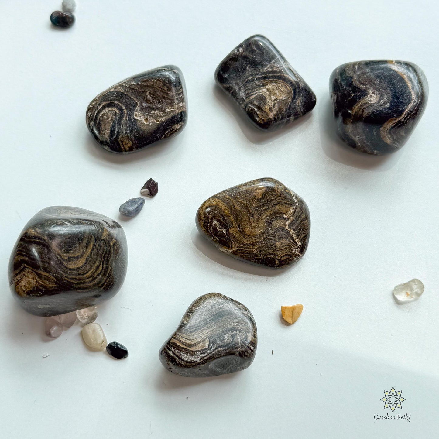 Fossilized Stromatolite, Tumbled | Capricorn Stone | Akashic Records Stone