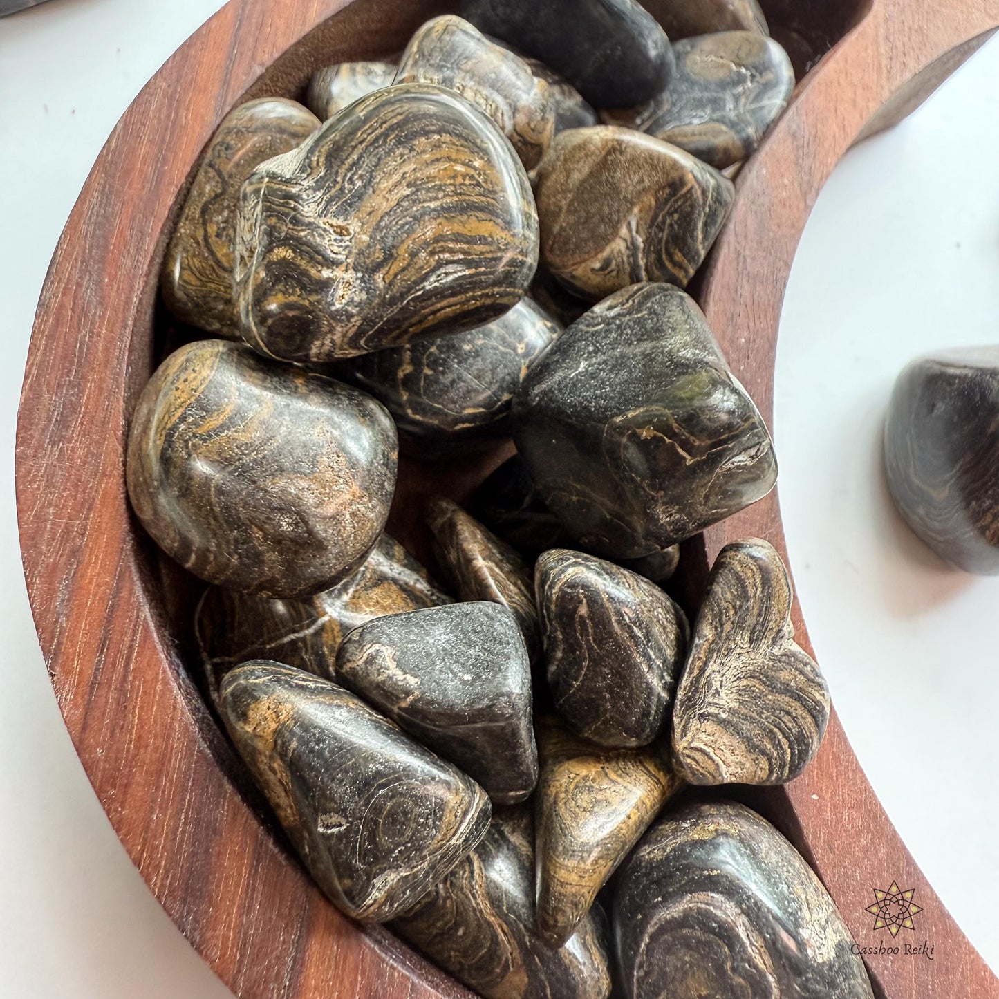 Fossilized Stromatolite, Tumbled | Capricorn Stone | Akashic Records Stone