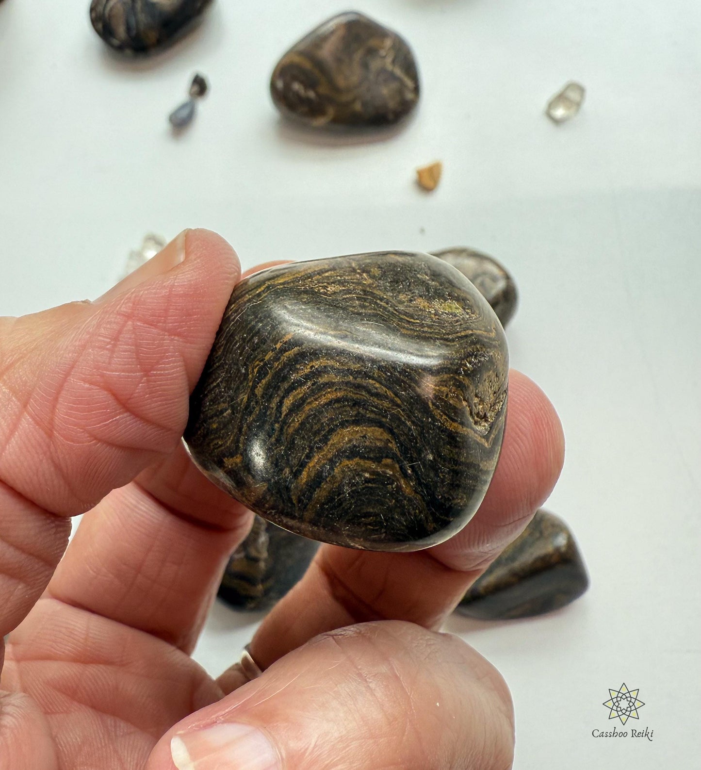Fossilized Stromatolite, Tumbled | Capricorn Stone | Akashic Records Stone