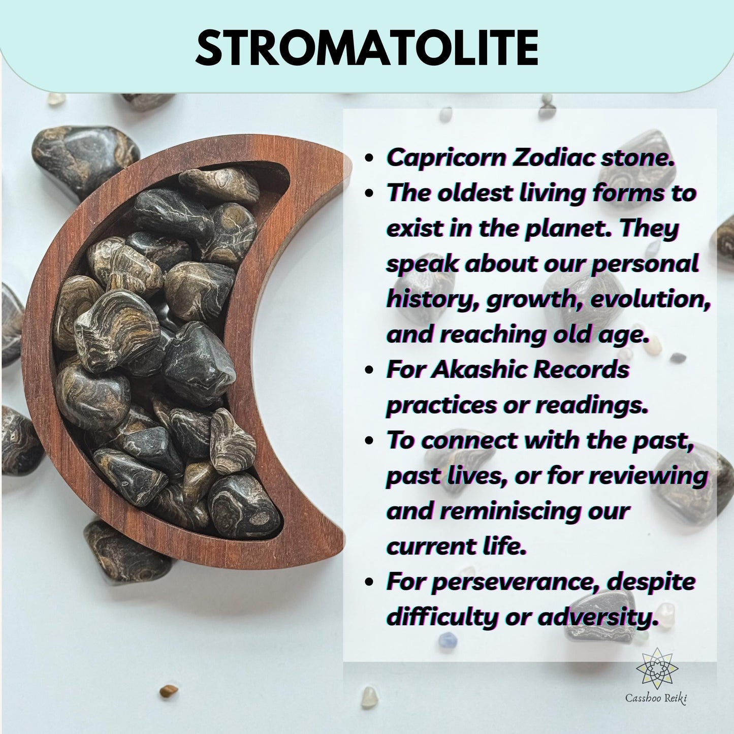 Fossilized Stromatolite, Tumbled | Capricorn Stone | Akashic Records Stone