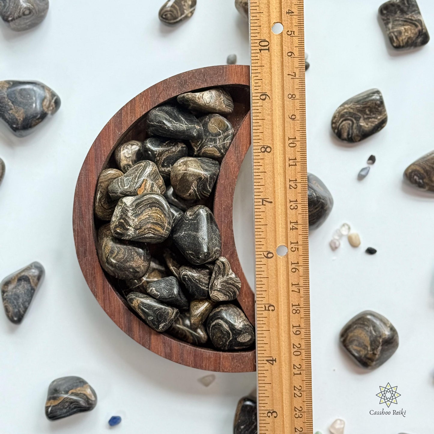 Fossilized Stromatolite, Tumbled | Capricorn Stone | Akashic Records Stone