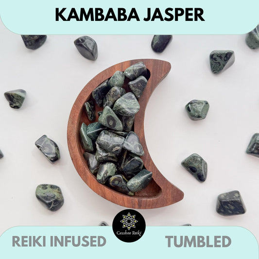 Tumbled Kambaba Jasper | Green Stromatolite | Crocodile Rock