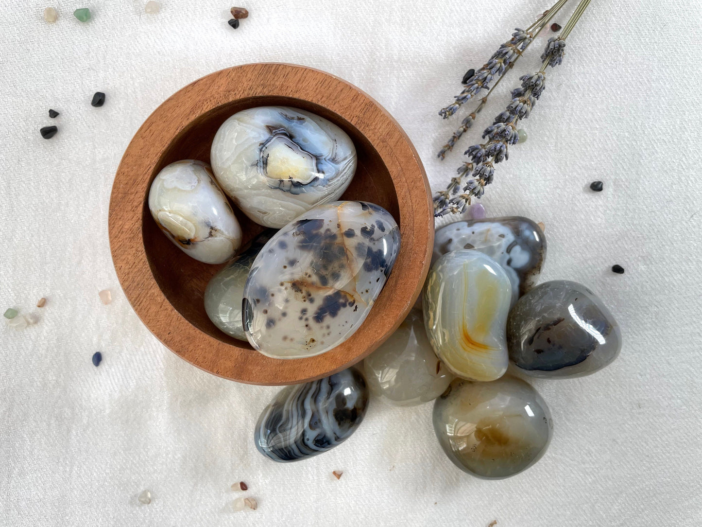 Large Dendritic Agate Cobble. Palm Stone