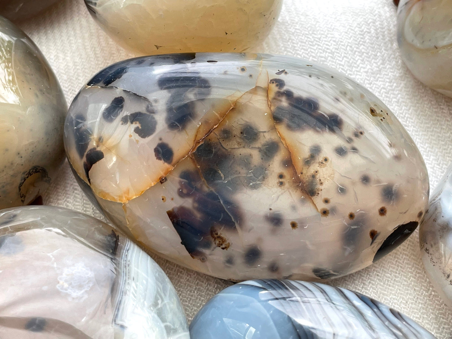 Large Dendritic Agate Cobble. Palm Stone