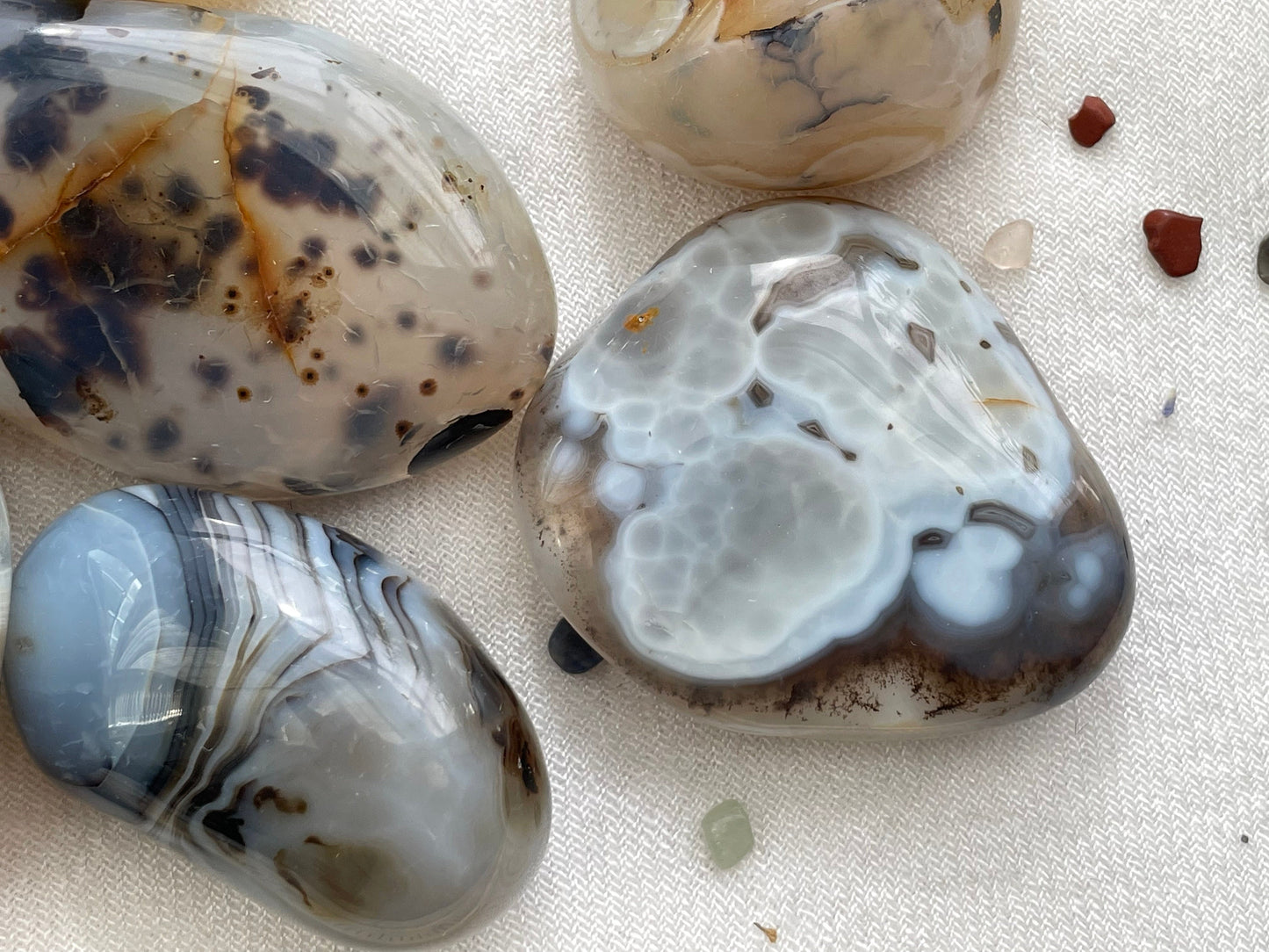 Large Dendritic Agate Cobble. Palm Stone