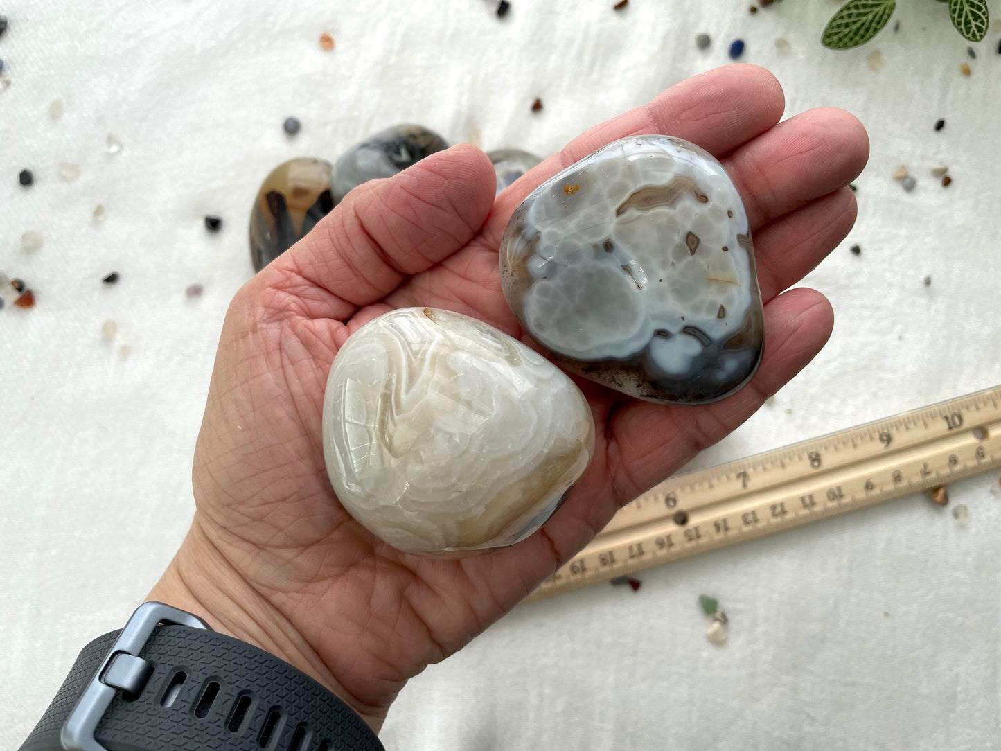 Large Dendritic Agate Cobble. Palm Stone