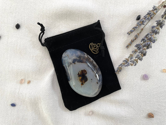 Large Dendritic Agate Cobble. Palm Stone