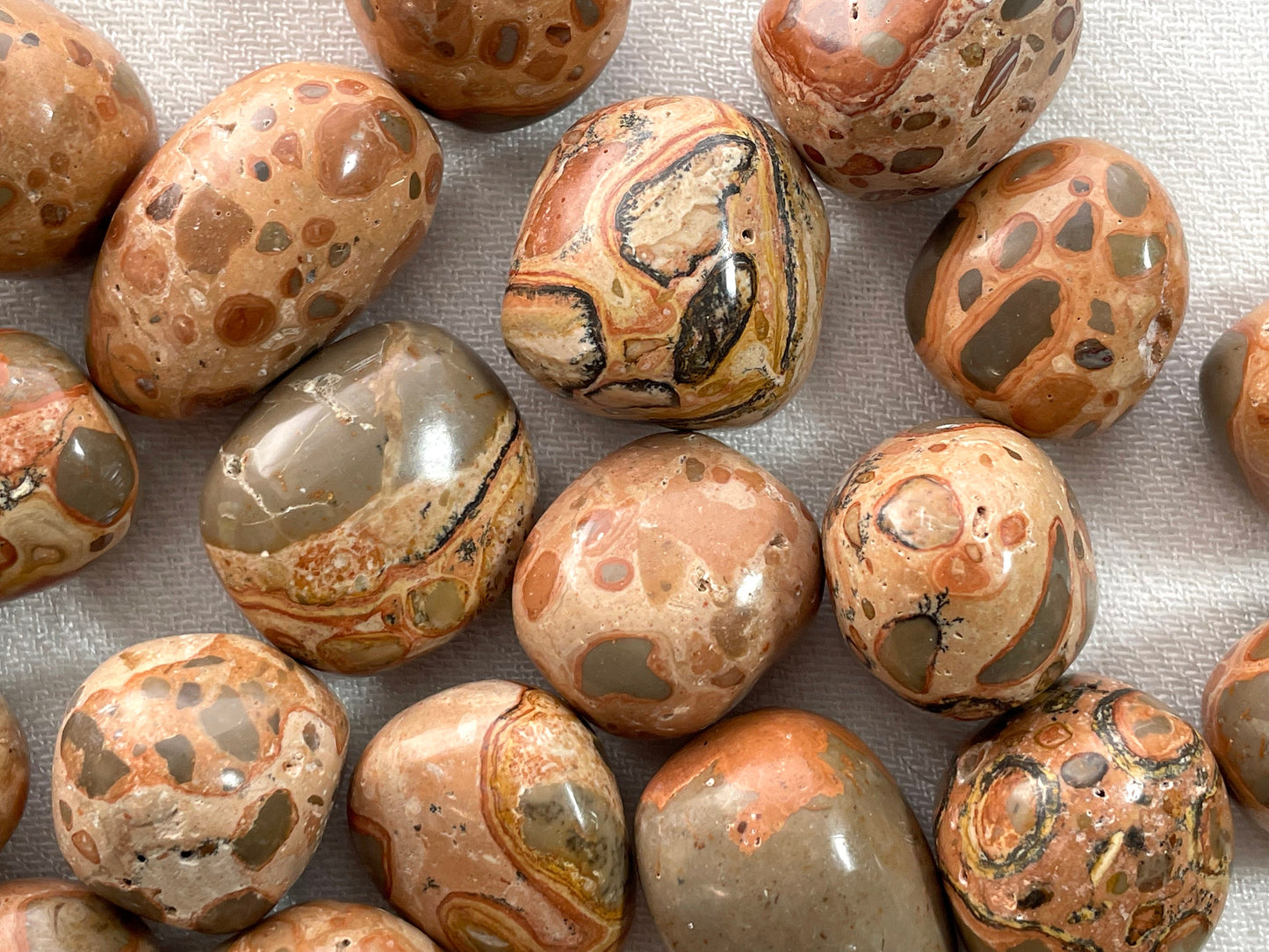 Leopardite, Tumbled or Rough| Leopardskin Jasper | Jaguar Stone | Shaman Stone.