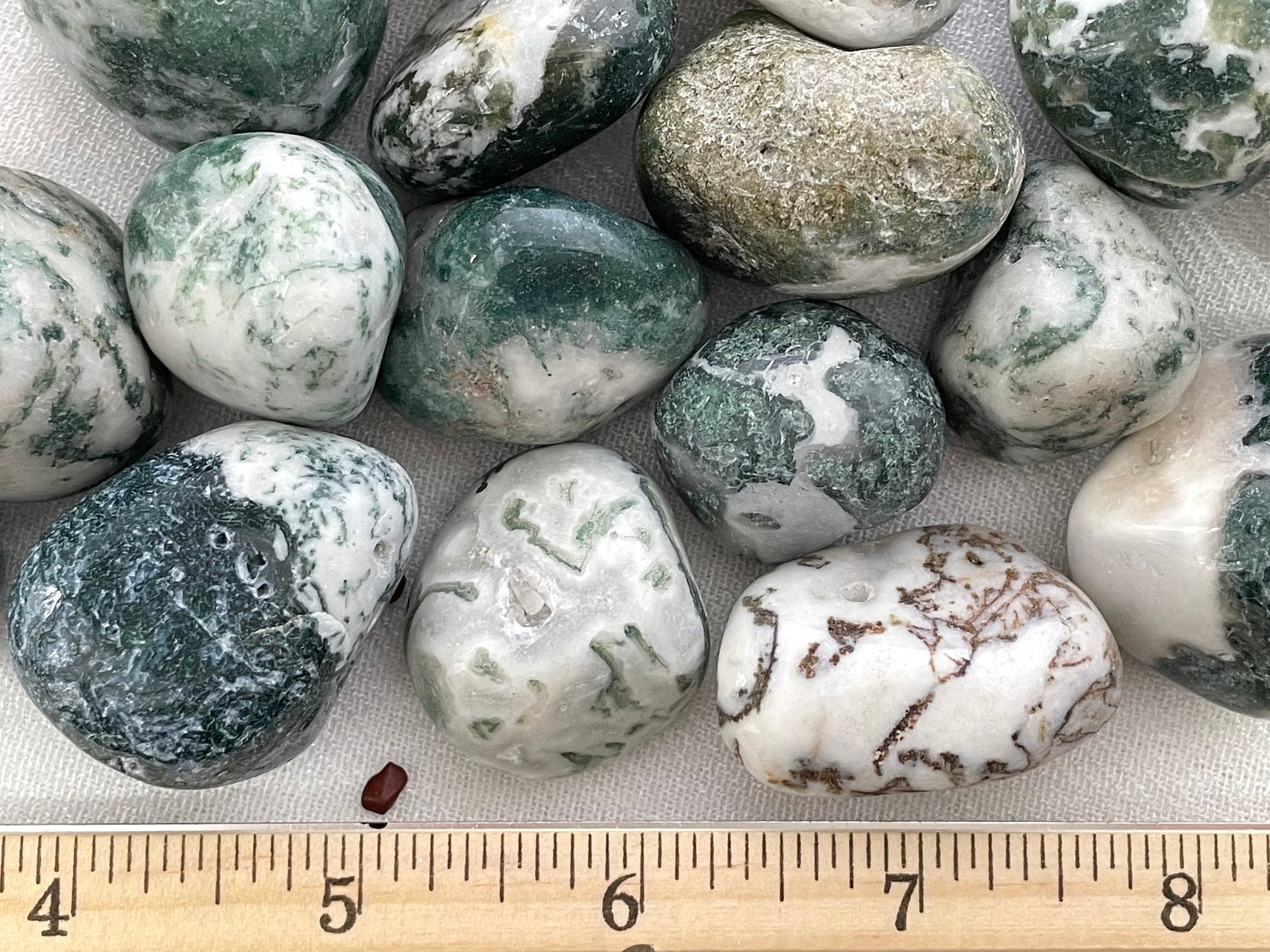 Rounded TRee Agate crystals against a ruler, showing average size of 1 inch