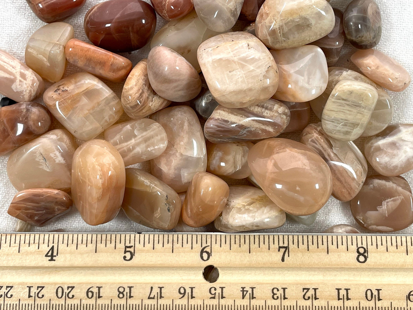 Microcline, Peach Moonstone, Tumbled or Rough |Stone for Self-love and Empathy