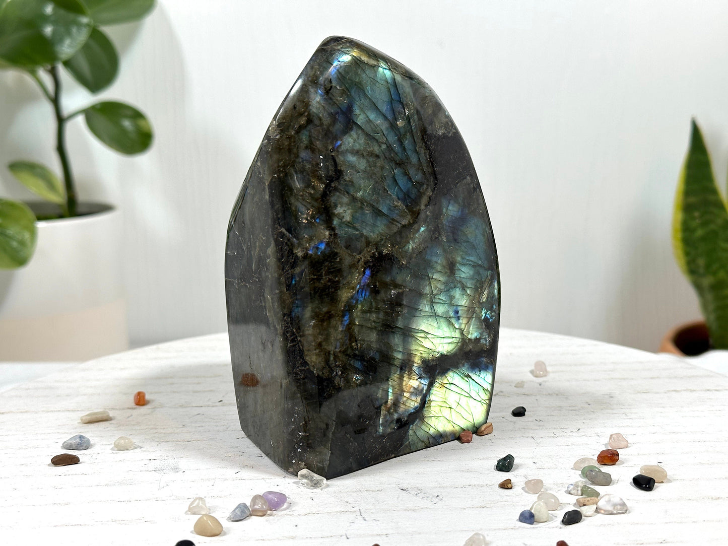 Large Labradorite Free Form, 1.4 Kg
