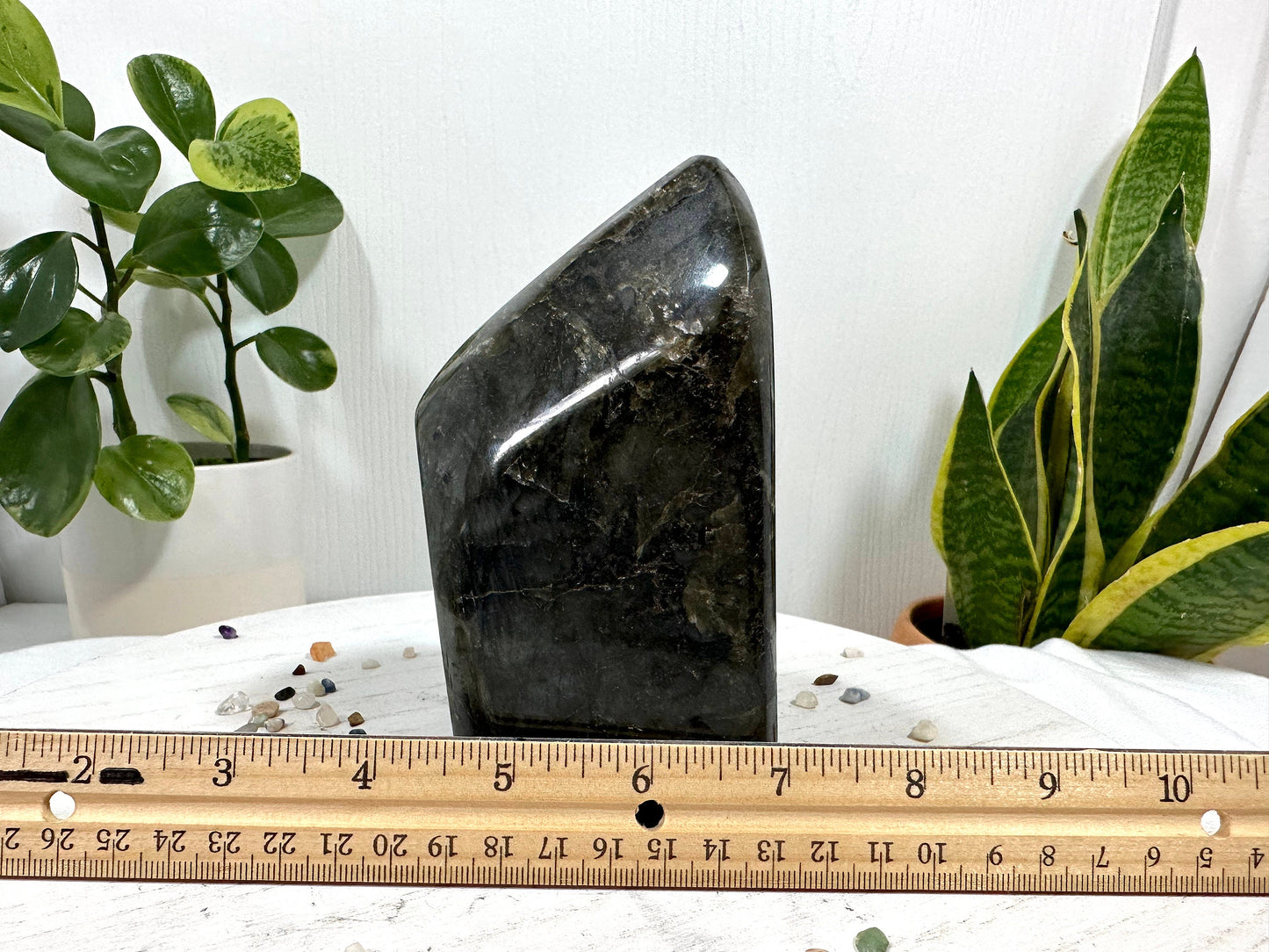 Large Labradorite Free Form, 1.4 Kg