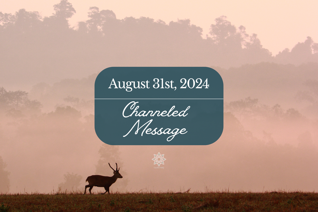 Channeled Message from August 31st, 2024