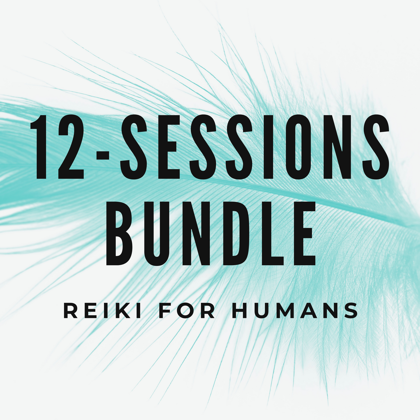 12-Session Bundle: Distance Reiki Healing for Humans