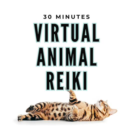 Distance Animal Reiki Healing, 30 min