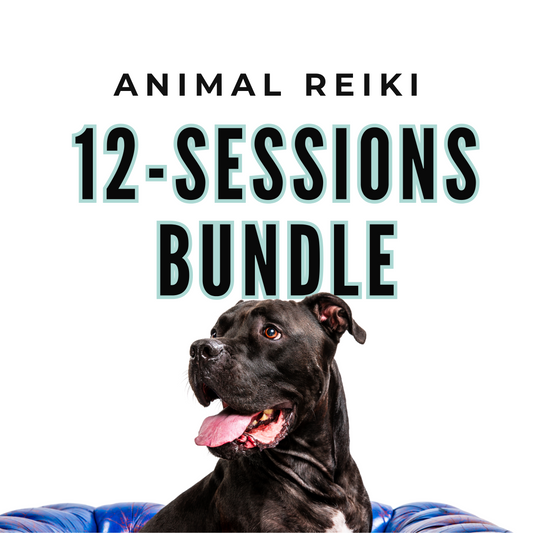 12-Session Bundle: Distance Animal Reiki