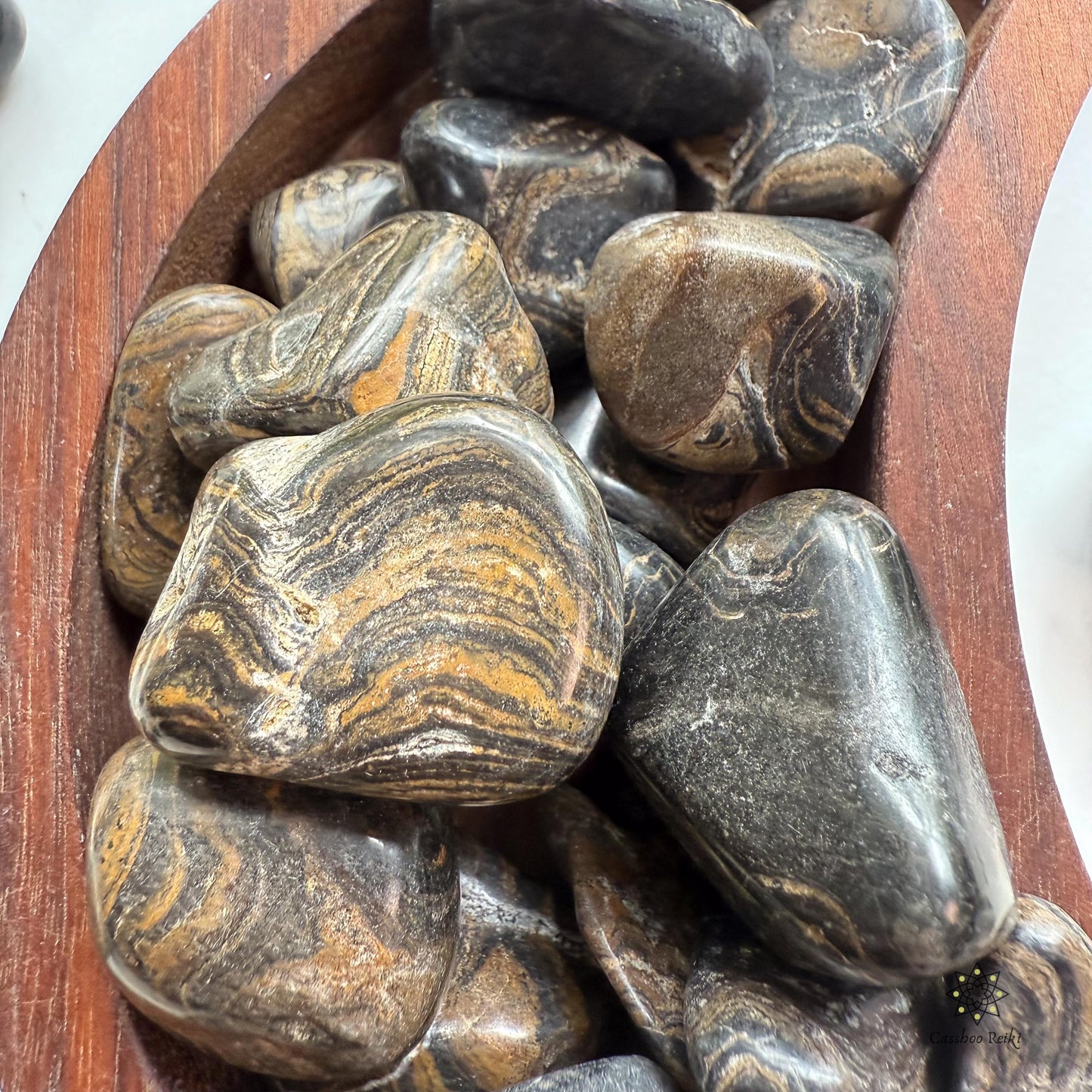 Fossilized Stromatolite, Tumbled | Capricorn Stone | Akashic Records Stone
