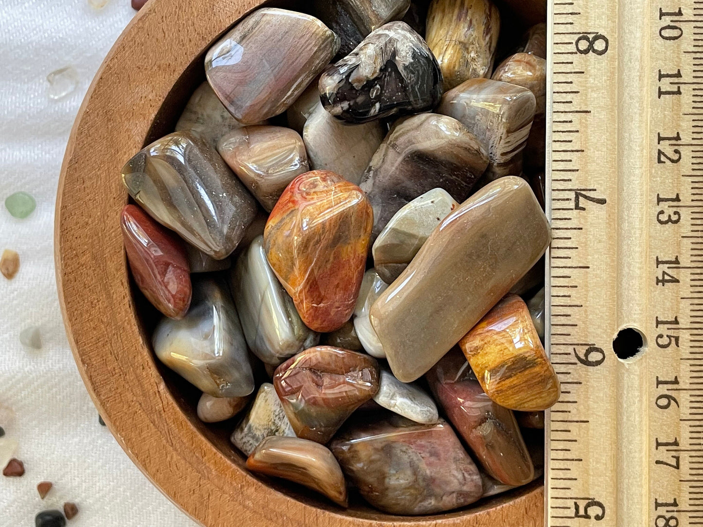 Tumbled Petrified Wood | Natural Petrified Wood | Fossilized Wood | Root and Sacral Chakra crystal