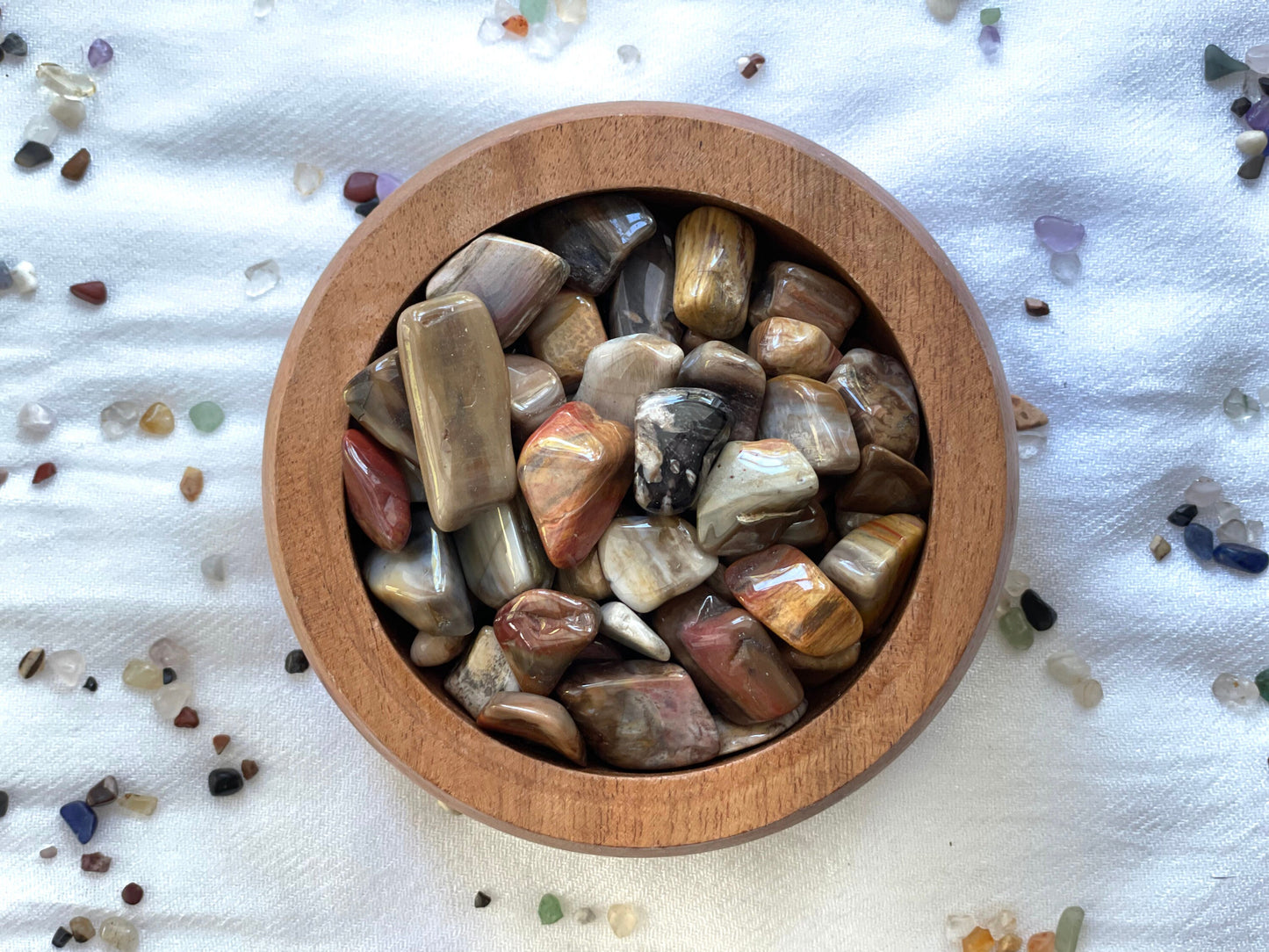 Tumbled Petrified Wood | Natural Petrified Wood | Fossilized Wood | Root and Sacral Chakra crystal