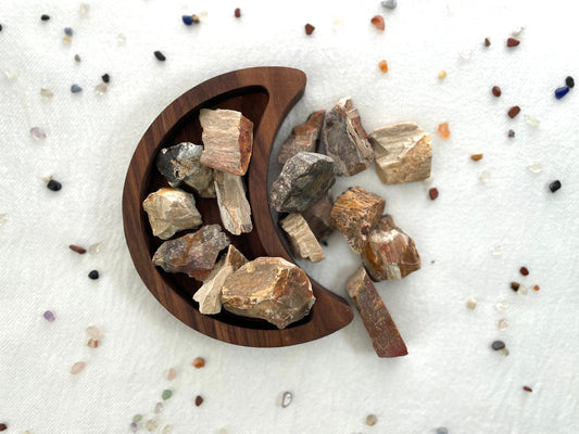 Natural Petrified  Wood Chunks | Rough Petrified Wood | Fossilized Wood | Root and Sacral Chakra Stone