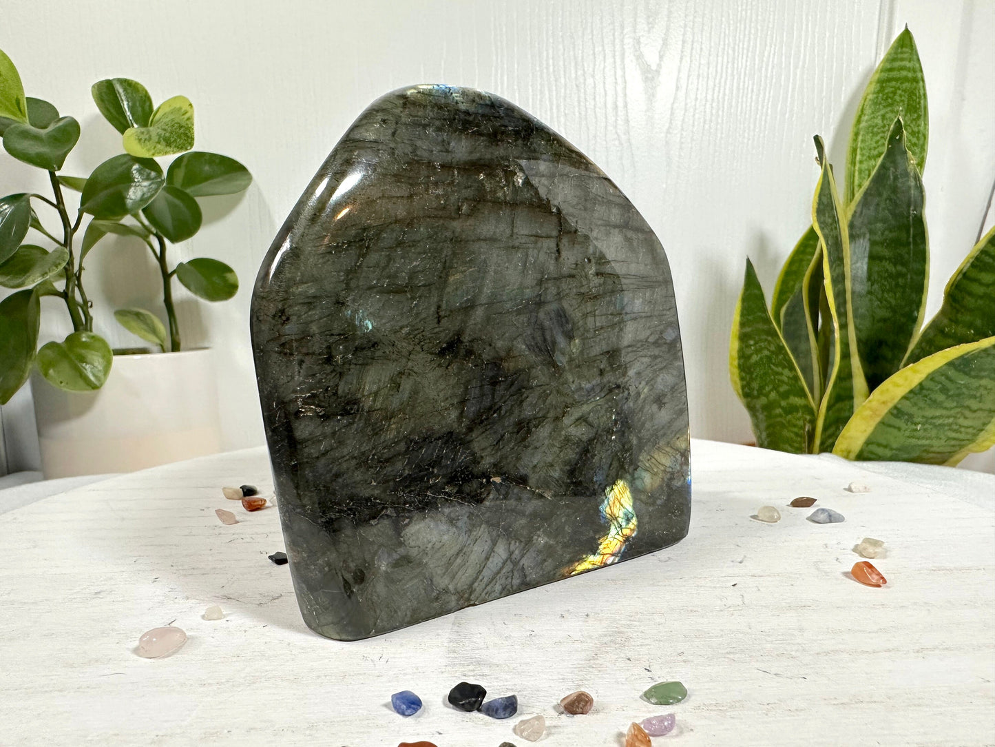 Labradorite Free Form, 1.2 Kg