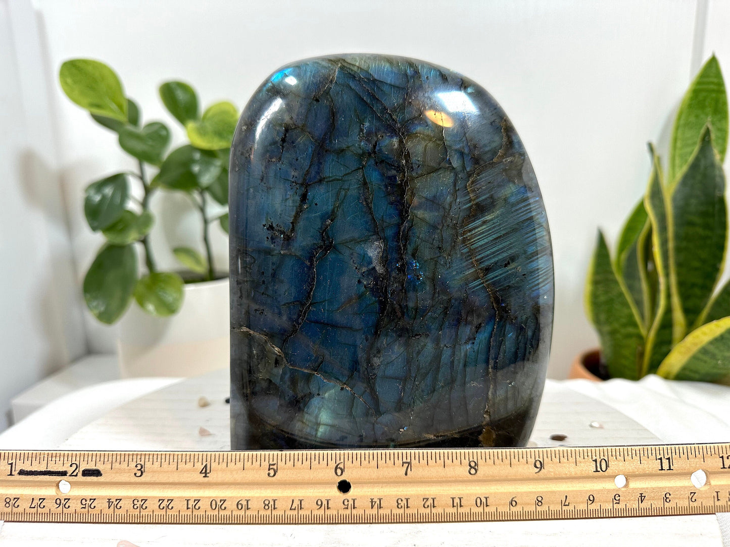 XL Labradorite Free Form. 3.4 Kg